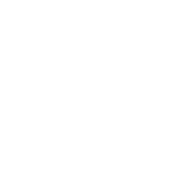 Monitor icon