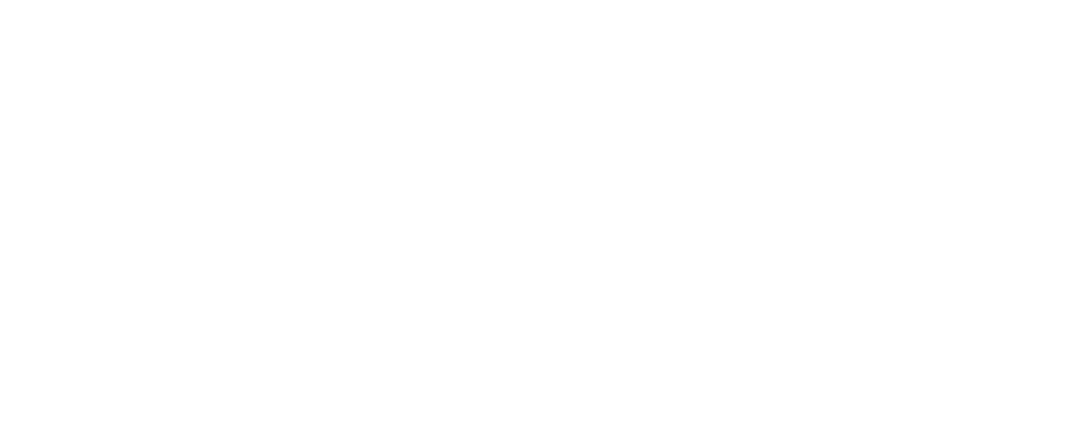 Blueline Cleaning Logo