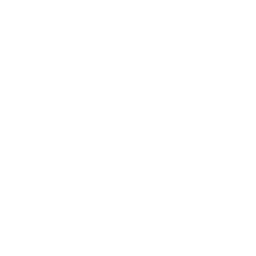LinkedIn logo icon